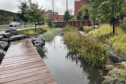 Le Conseil régional de l’environnement – région de la Capitale-Nationale a créé l'initiative en 2020. Crédit : Ville de Montréal