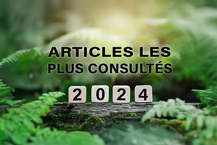 Nos articles les plus consultés en 2024