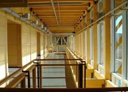 Recherche sur la construction écoresponsable en bois - Photo : Université Laval