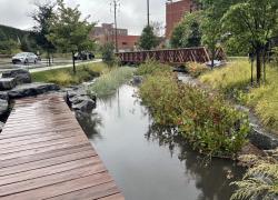 Montréal adaptera son espace public aux impacts des changements climatiques par l’aménagement de parcs et de trottoirs « éponges ». Photo : Ville de Montréal