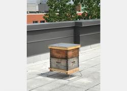 L’apiculture urbaine s’invite au Technoparc