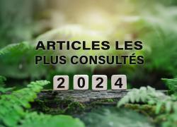 Nos articles les plus consultés en 2024