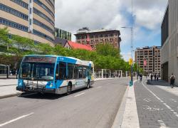 Un comité aviseur réfléchira aux différents enjeux liés à l’urbanisme, la mobilité et la transition écologique à Montréal.