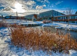 L’Université de Sherbrooke toujours en tête du classement GreenMetric. Crédit : Michel Caron - UdeS.