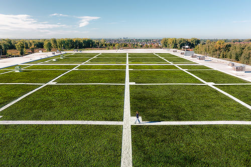 Conçue par Toiture D. Jean, la toiture utilisant la technologie Ohasis Tech recouvre les deux bâtiments industriels composant l’Écoparc Saint-Bruno. Crédit : MONTONI